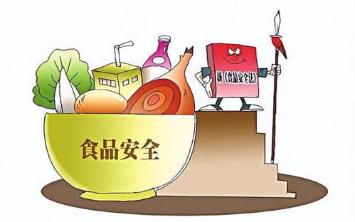 摊主因13元收入被罚3万元引争议，法院判决揭示市场治理与法律公正